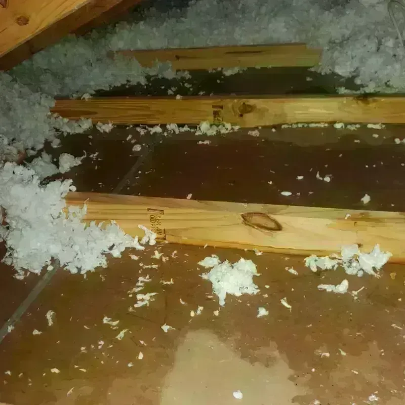 Attic Water Damage in Castro County, TX